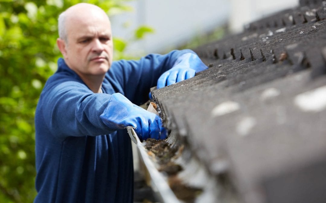 clean your gutters to prepare your home for fall