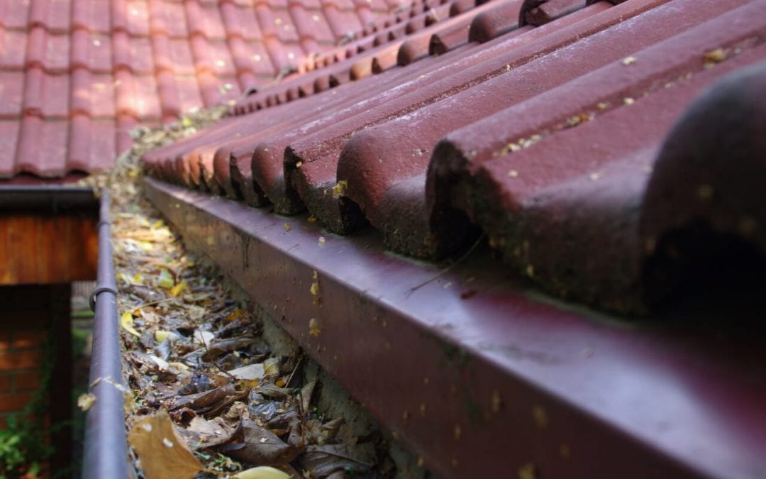 every homeowner should know how to clean gutters